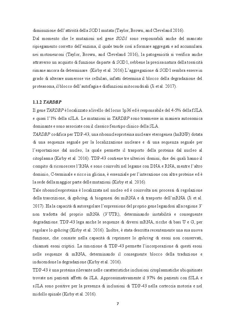 Anteprima della tesi: Le cellule staminali: una possibilità terapeutica per la sclerosi laterale amiotrofica, Pagina 5