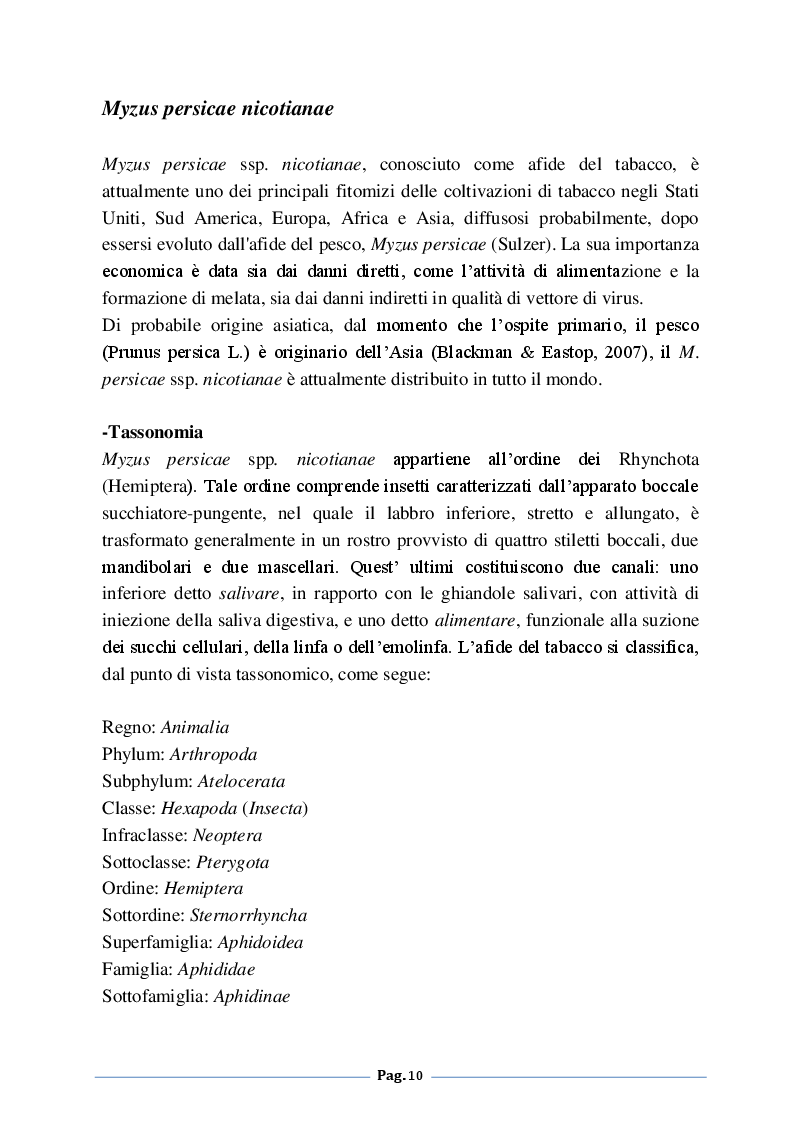 Anteprima della tesi: Analisi degli effetti della fertilizzazione azotata sulle infestazioni di Myzus persicae nicotiane (Blackman) su tabacco (Nicotiana tabacum L.), Pagina 5