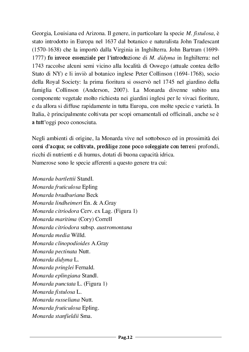 Anteprima della tesi: Monarda fistulosa e Monarda dydima: valutazione degli aspetti agronomico-colturali e dell'attività antimicrobica dell'olio essenziale, Pagina 3
