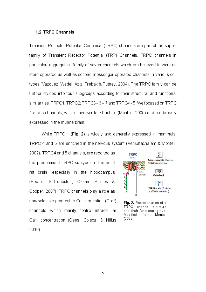 Anteprima della tesi: Role of TRPC channels in temporal association tasks, Pagina 3