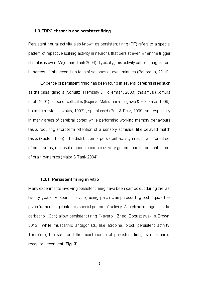 Anteprima della tesi: Role of TRPC channels in temporal association tasks, Pagina 4