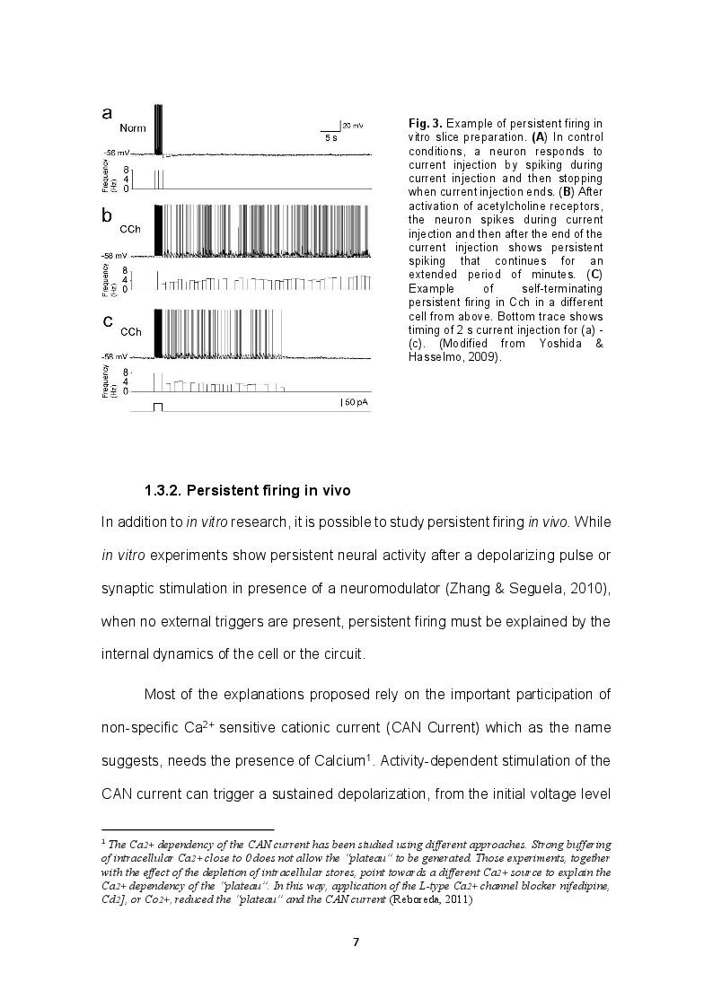 Anteprima della tesi: Role of TRPC channels in temporal association tasks, Pagina 5