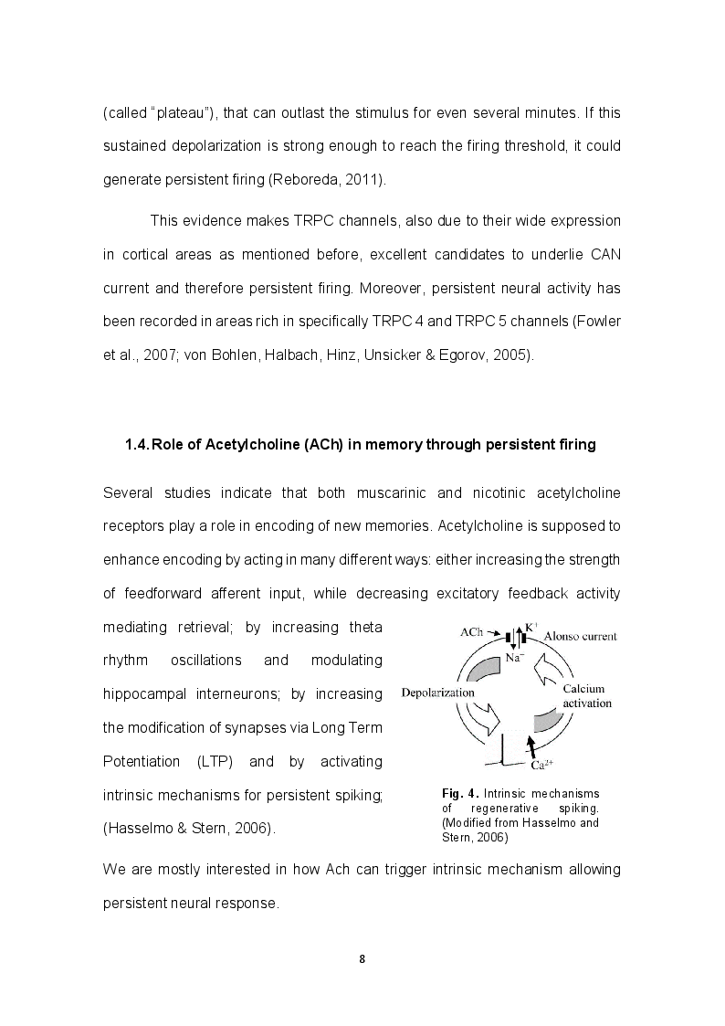 Anteprima della tesi: Role of TRPC channels in temporal association tasks, Pagina 6