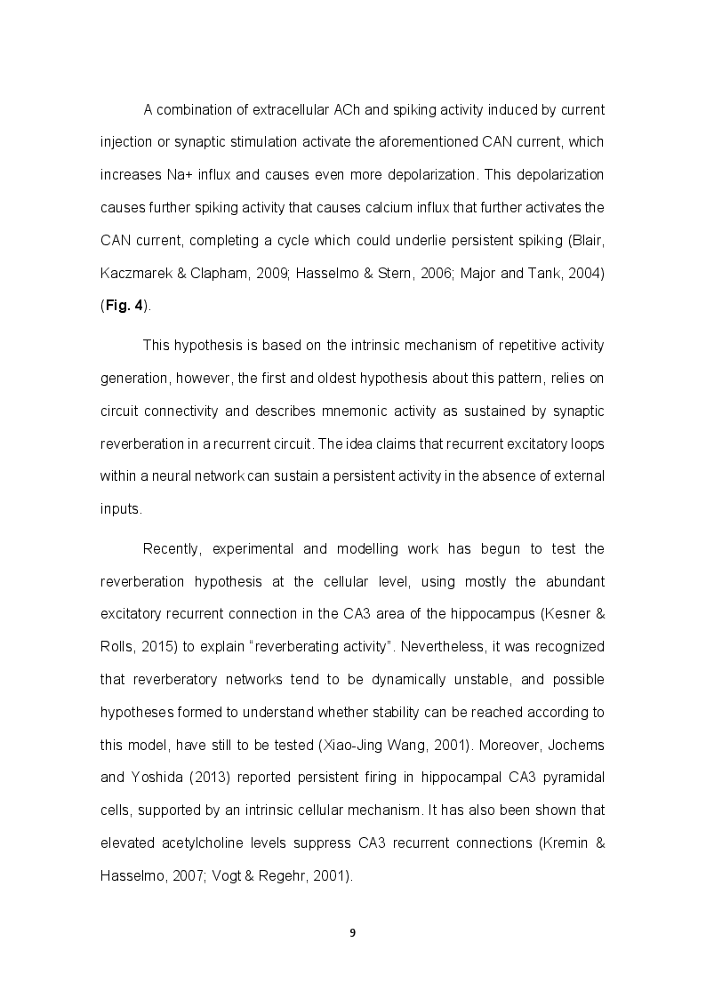 Anteprima della tesi: Role of TRPC channels in temporal association tasks, Pagina 7