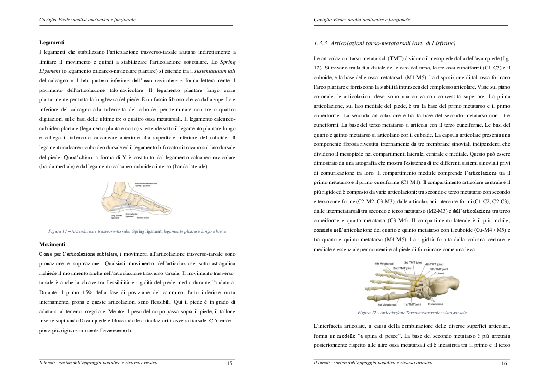 Anteprima della tesi: Il Tennis: carico dell'appoggio podalico e ricorso ortesico, Pagina 4