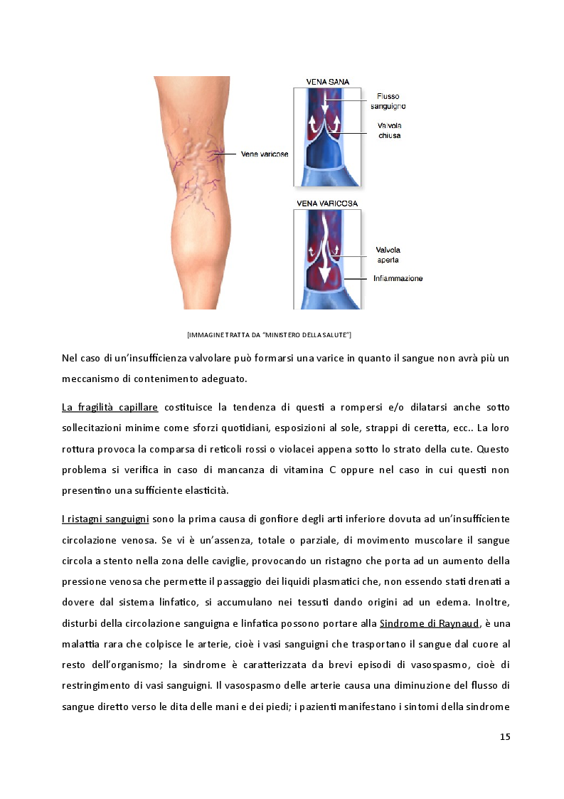 Estratto dalla tesi: I biotipi costituzionali, la progettazione di un allenamento