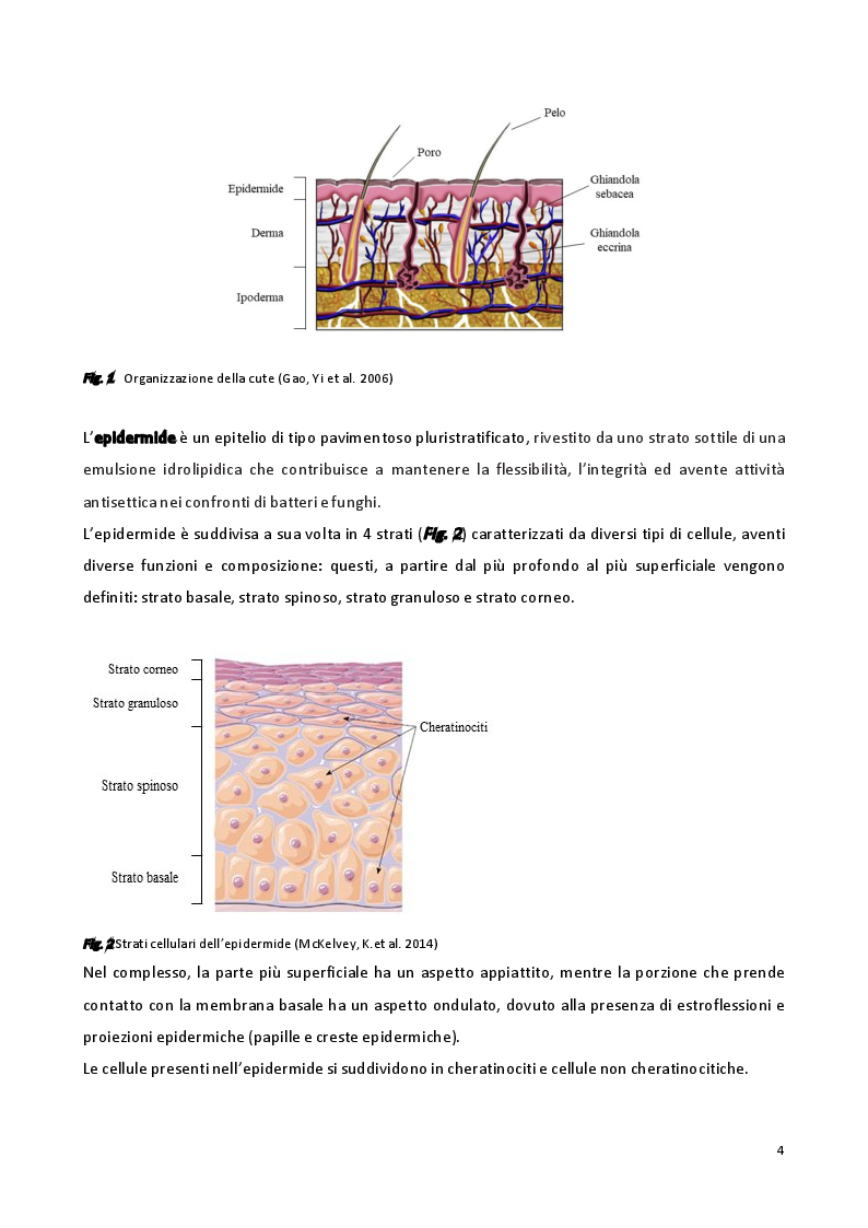 Anteprima della tesi: Sviluppo di formulazioni anti-ageing: focus su Argirelina (Acetil-esapeptide-8), Pagina 3