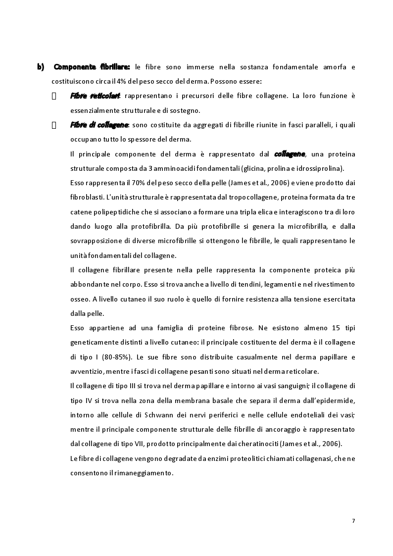 Anteprima della tesi: Sviluppo di formulazioni anti-ageing: focus su Argirelina (Acetil-esapeptide-8), Pagina 6