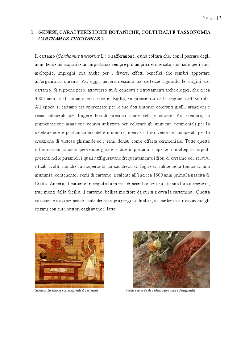 Anteprima della tesi: Carthamus tinctorius: opportunità di impiego alimentare, Pagina 4