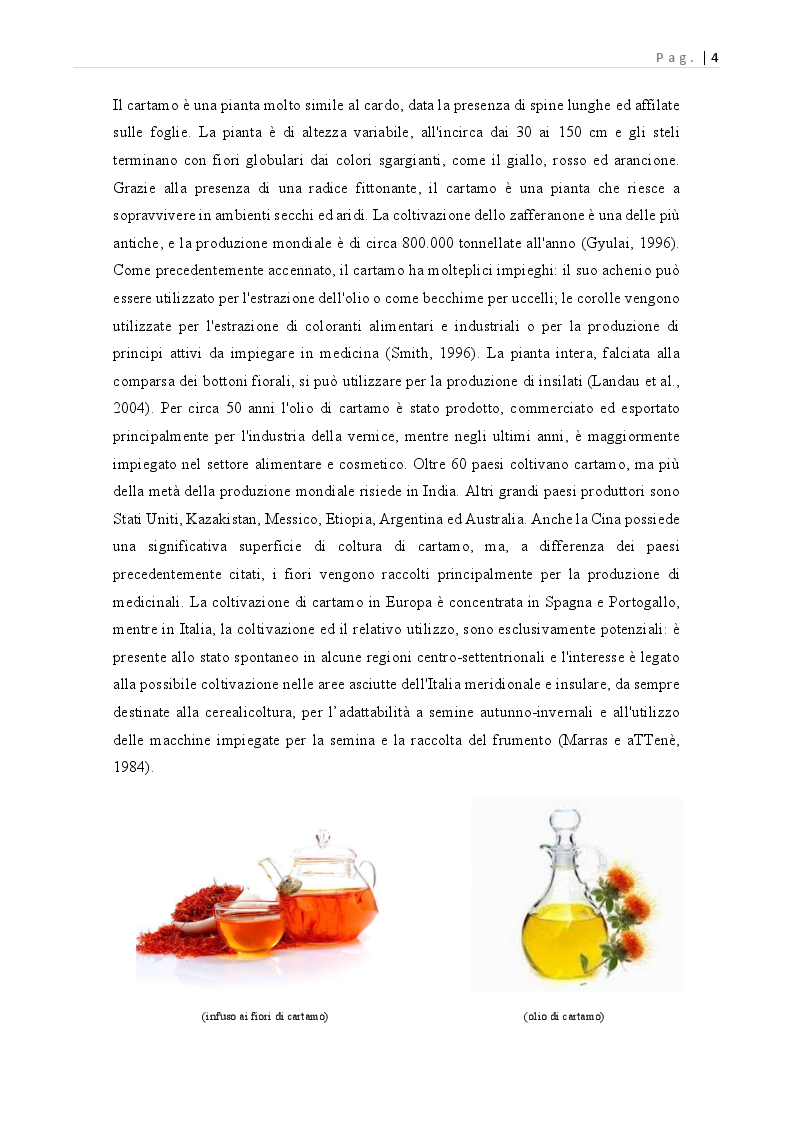 Anteprima della tesi: Carthamus tinctorius: opportunità di impiego alimentare, Pagina 5