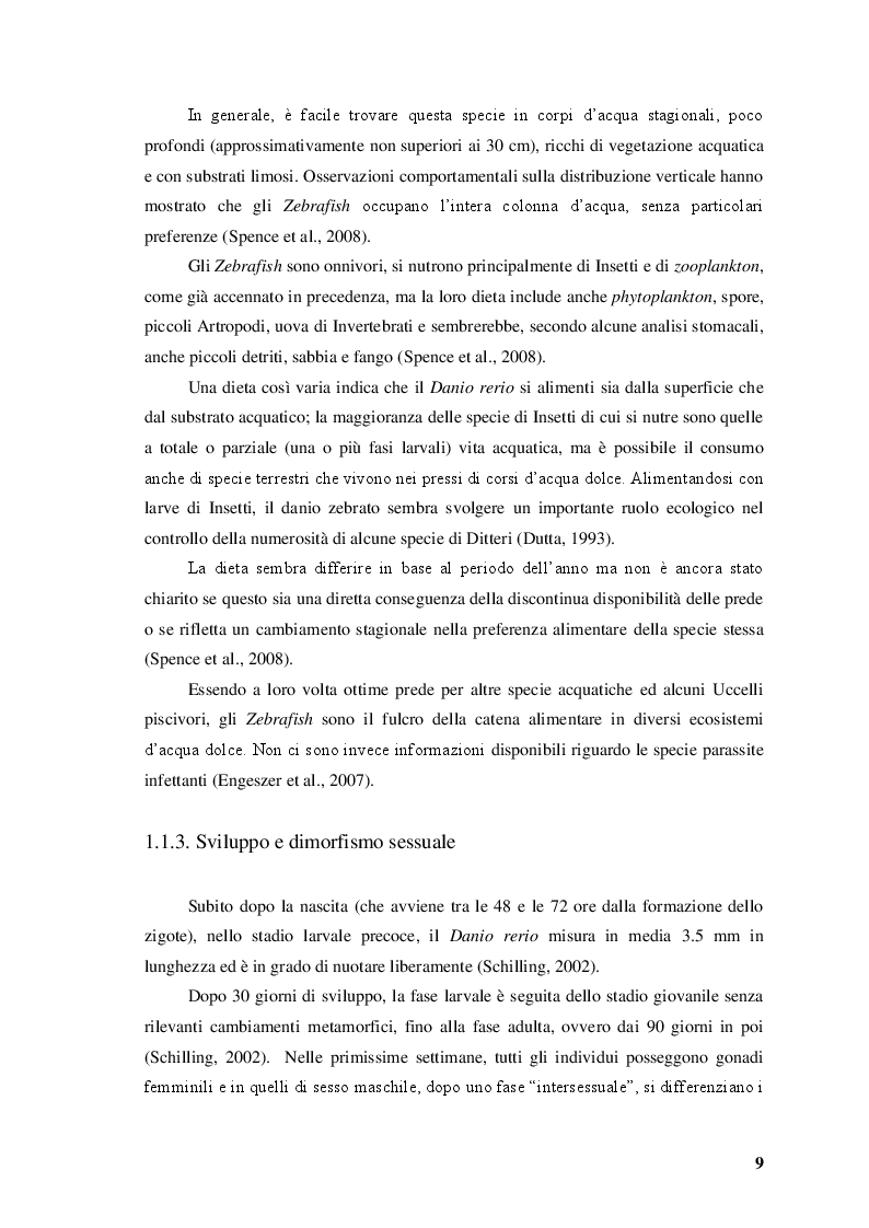 Anteprima della tesi: Differenze legate al sesso nelle risposte comportamentali del pesce zebra (Danio rerio) indotte sperimentalmente da stimoli ambientali, sociali e artificiali, Pagina 7