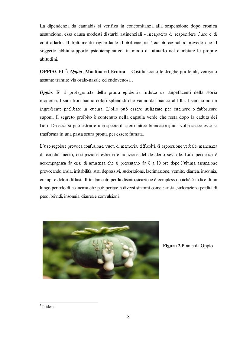 Anteprima della tesi: La Neve che cade sul mondo : Cocaina e Narcotraffico, Pagina 3