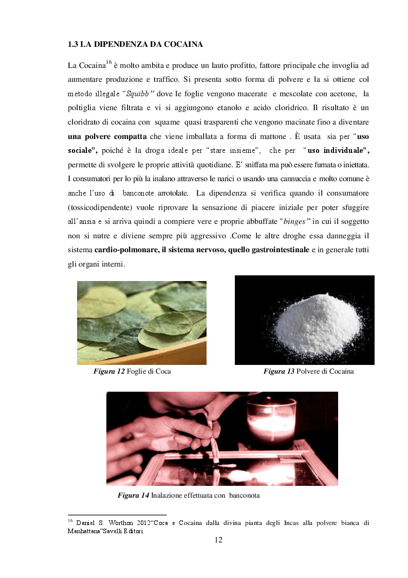 Anteprima della tesi: La Neve che cade sul mondo : Cocaina e Narcotraffico, Pagina 7