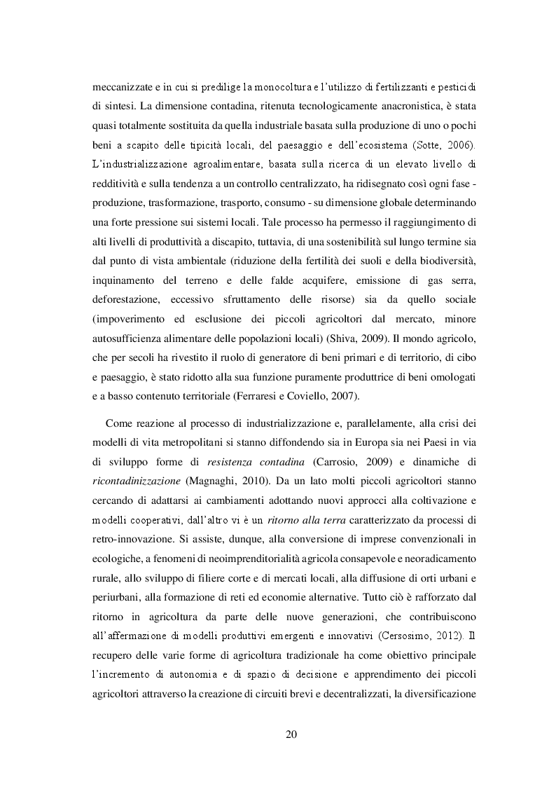 Anteprima della tesi: Il distretto biologico come modello di sviluppo locale: analisi del caso "Filo di Luce in Canavese", Pagina 3