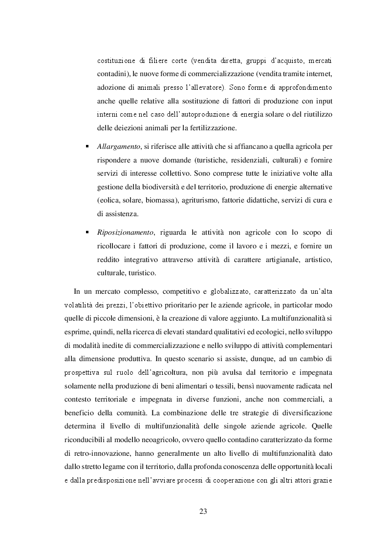 Anteprima della tesi: Il distretto biologico come modello di sviluppo locale: analisi del caso "Filo di Luce in Canavese", Pagina 6
