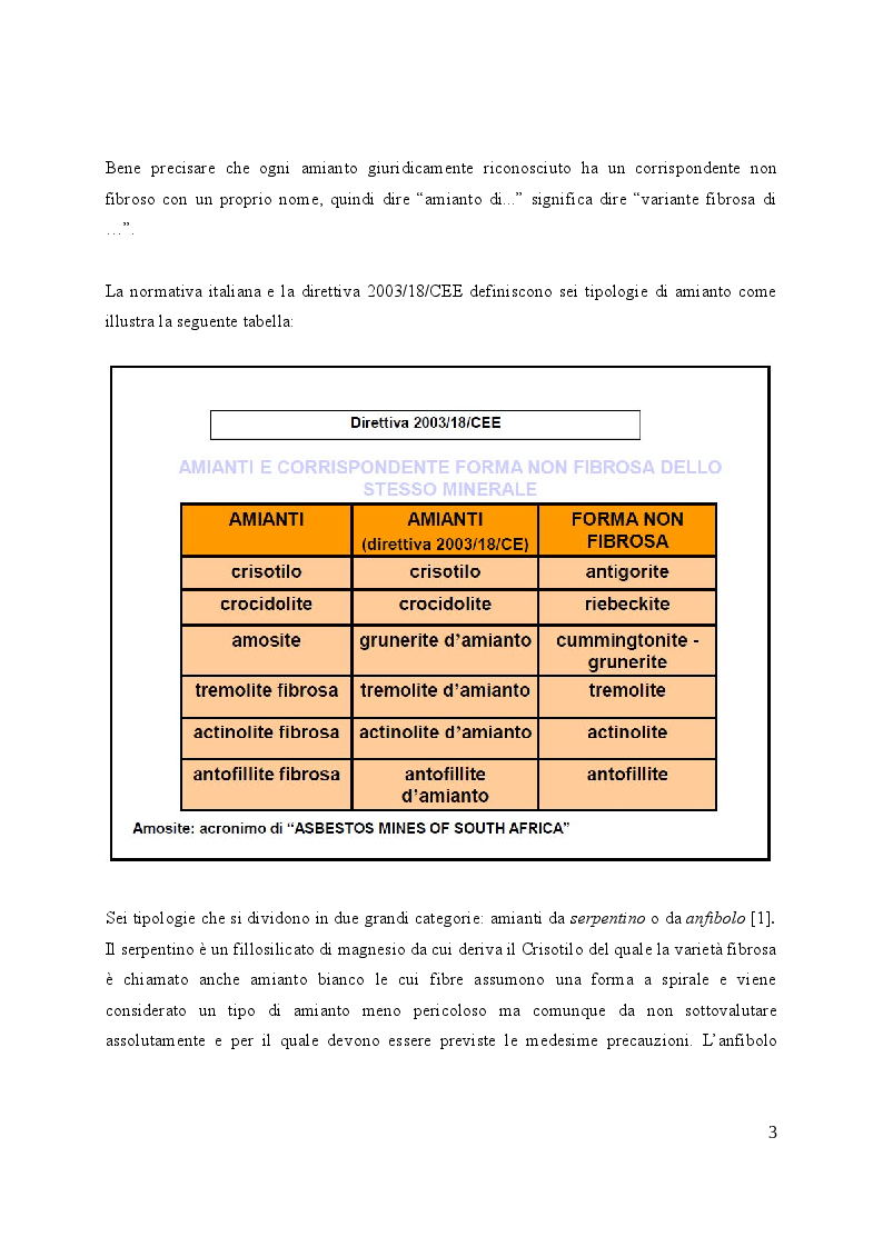 Anteprima della tesi: Valutazione e gestione del rischio amianto nelle strutture edilizie, Pagina 4