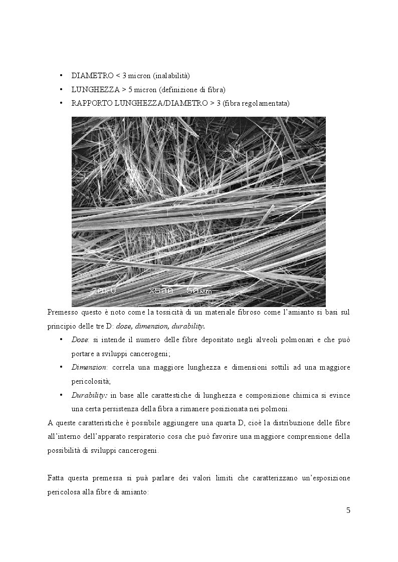 Anteprima della tesi: Valutazione e gestione del rischio amianto nelle strutture edilizie, Pagina 6