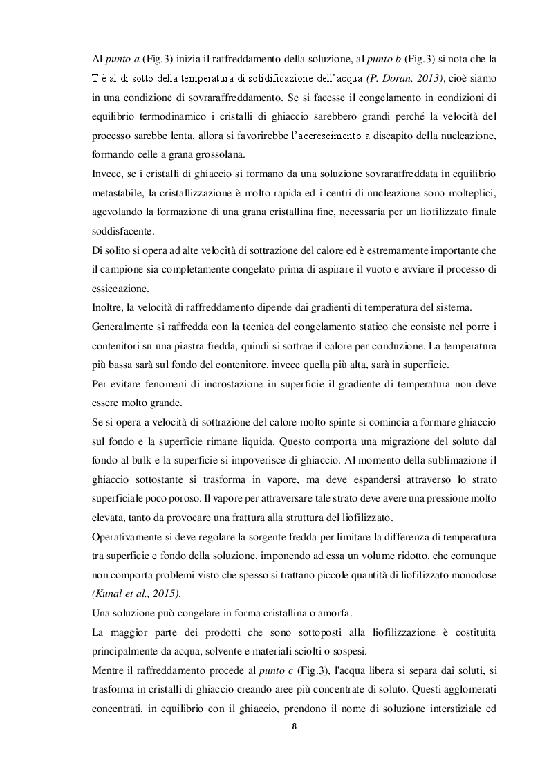 Estratto dalla tesi: Tecnologie di liofilizzazione per applicazioni alimentari e farmaceutiche