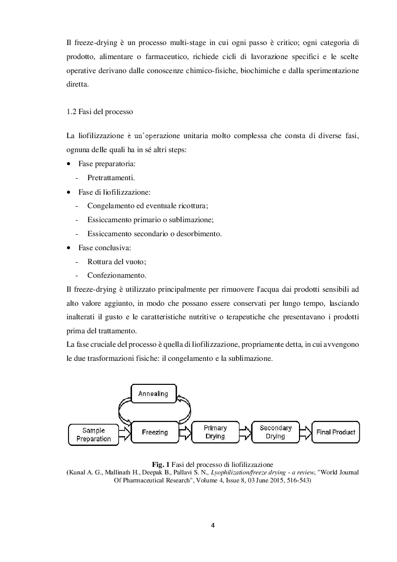 Anteprima della tesi: Tecnologie di liofilizzazione per applicazioni alimentari e farmaceutiche, Pagina 4