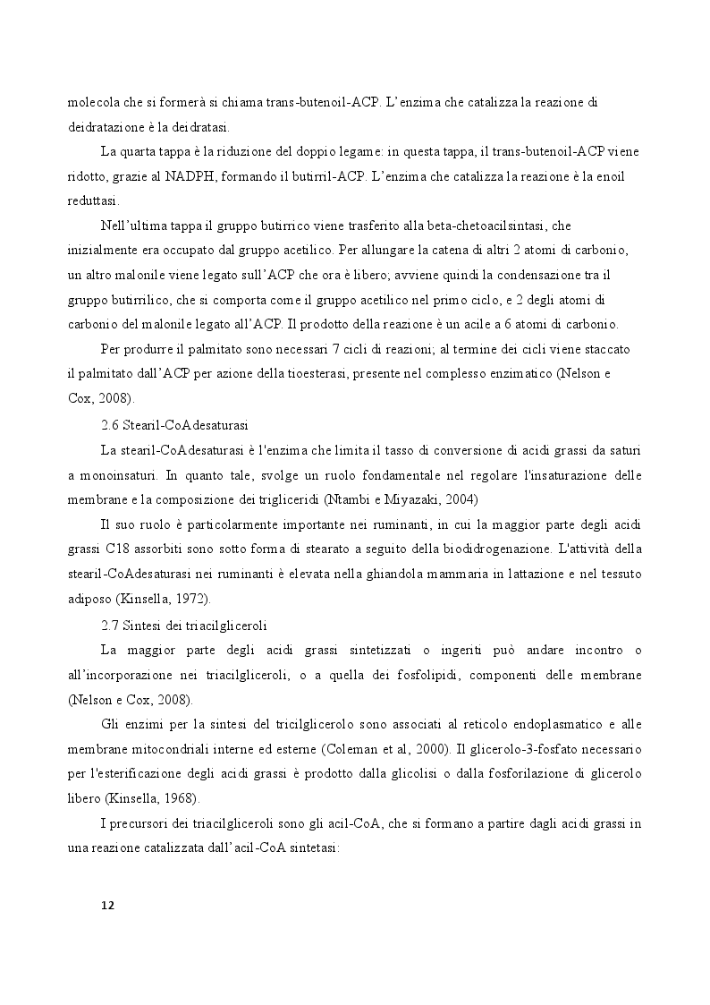 Anteprima della tesi: Fattori animali e alimentari che influenzano la sintesi e la composizione del grasso del latte, Pagina 4