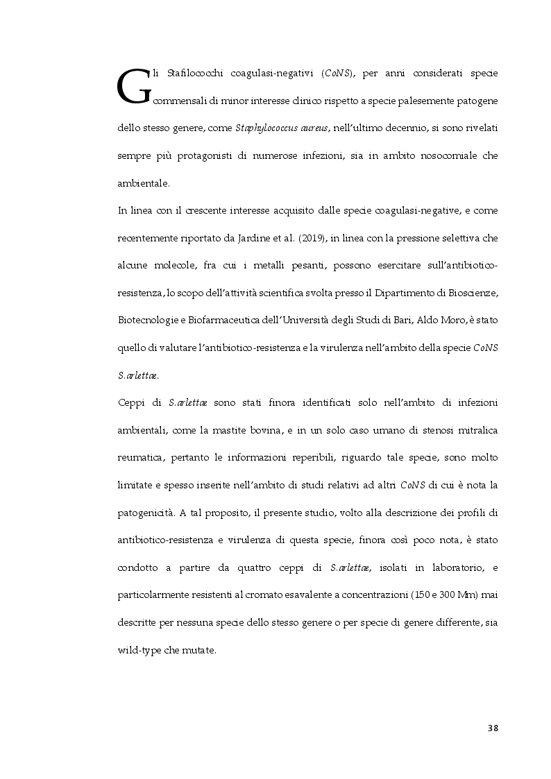 Estratto dalla tesi: Staphylococcus arlettae: antibiotico-resistenza e virulenza