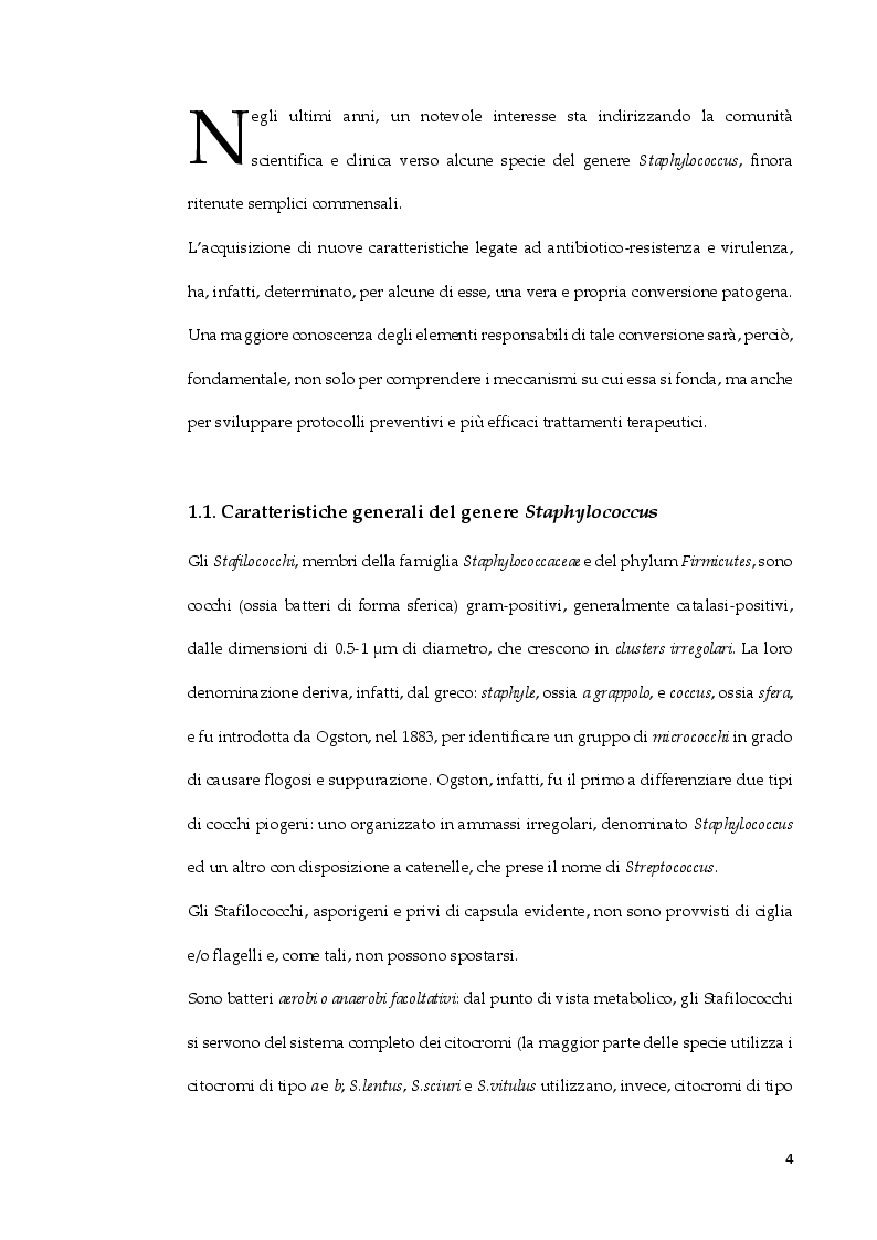 Anteprima della tesi: Staphylococcus arlettae: antibiotico-resistenza e virulenza, Pagina 3