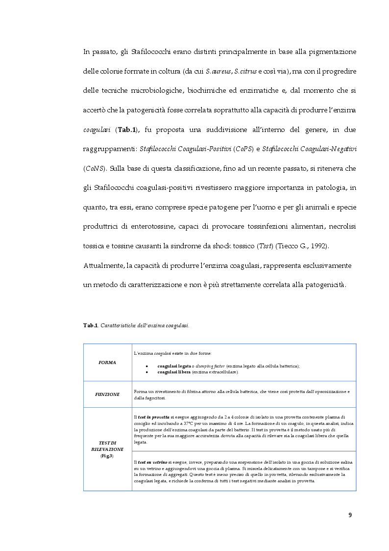 Anteprima della tesi: Staphylococcus arlettae: antibiotico-resistenza e virulenza, Pagina 8