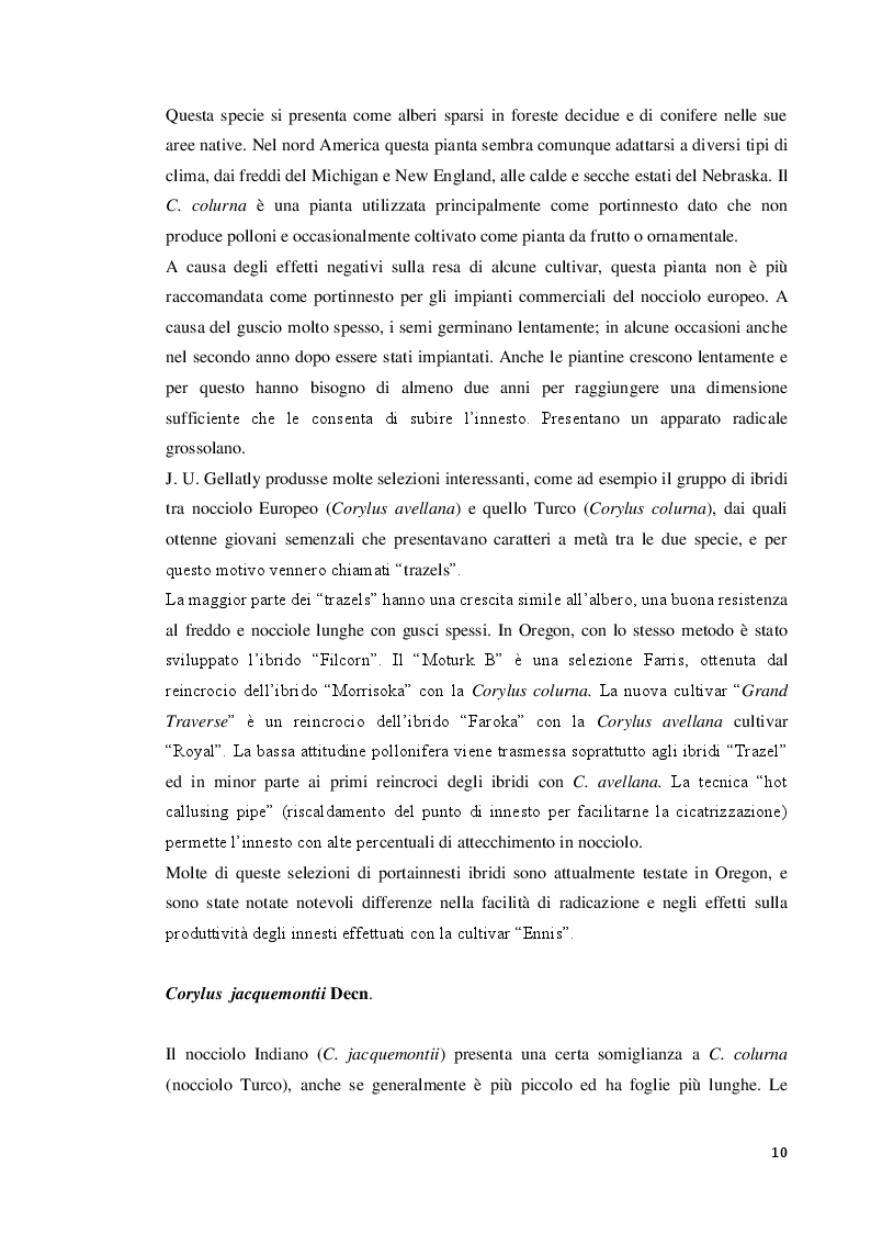 Estratto dalla tesi: Modulazione della concentrazione di azoto e ferro sulla micropropagazione del nocciolo (Corylus avellana L.)