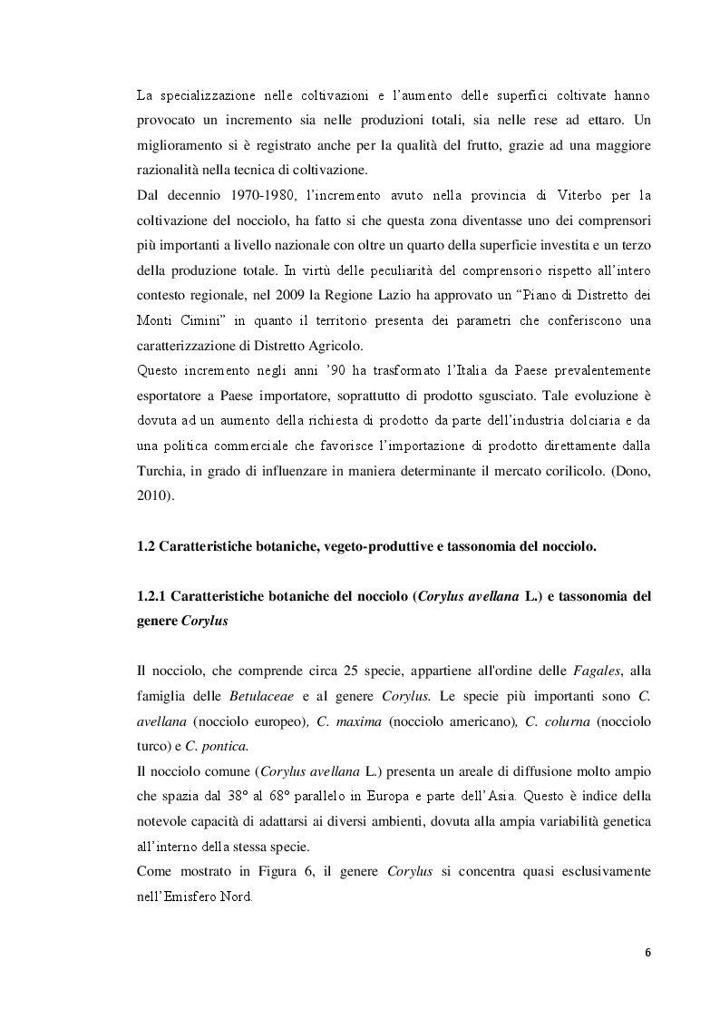 Anteprima della tesi: Modulazione della concentrazione di azoto e ferro sulla micropropagazione del nocciolo (Corylus avellana L.), Pagina 7