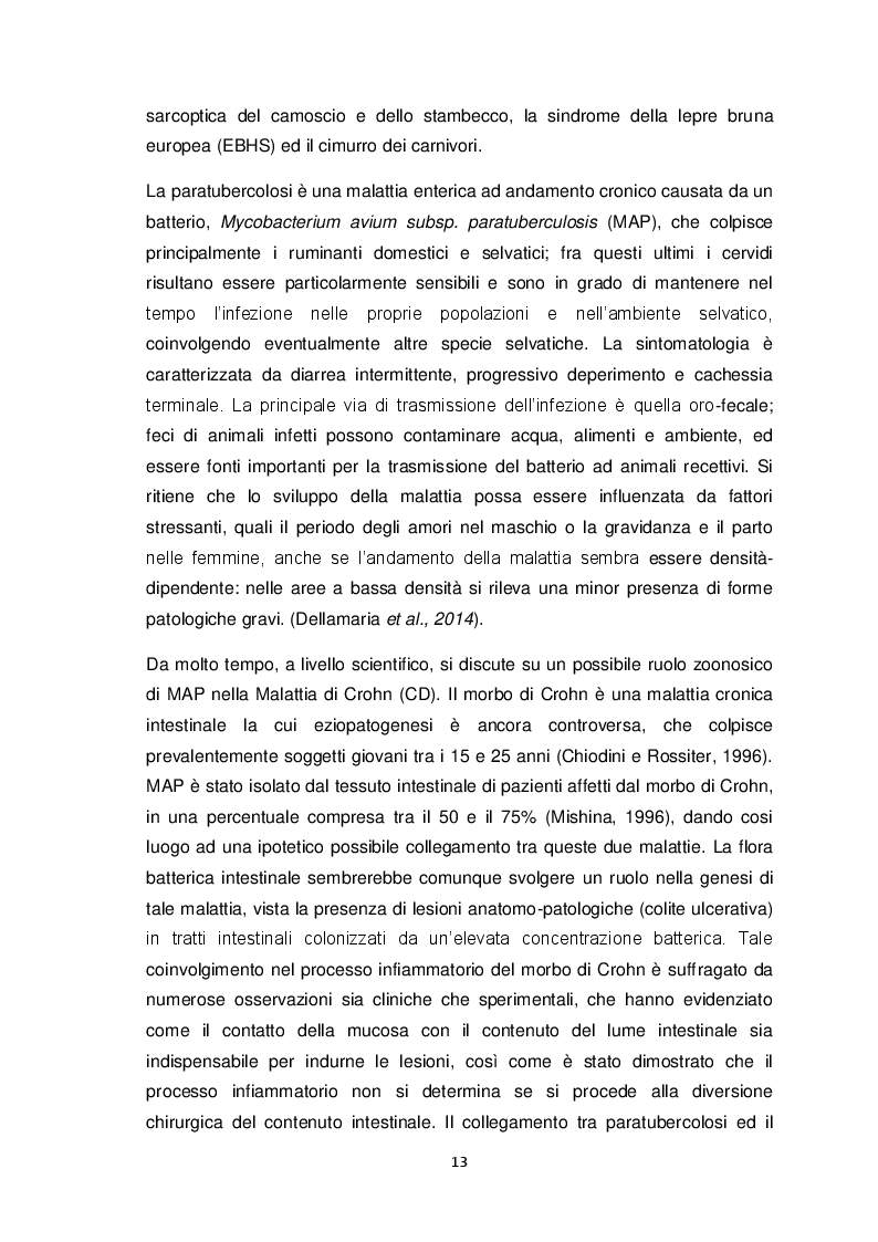 Estratto dalla tesi: Ricerca di MAP nella fauna selvatica (Cervus elaphus). Isolamento e genotipizzazione da campioni di campo