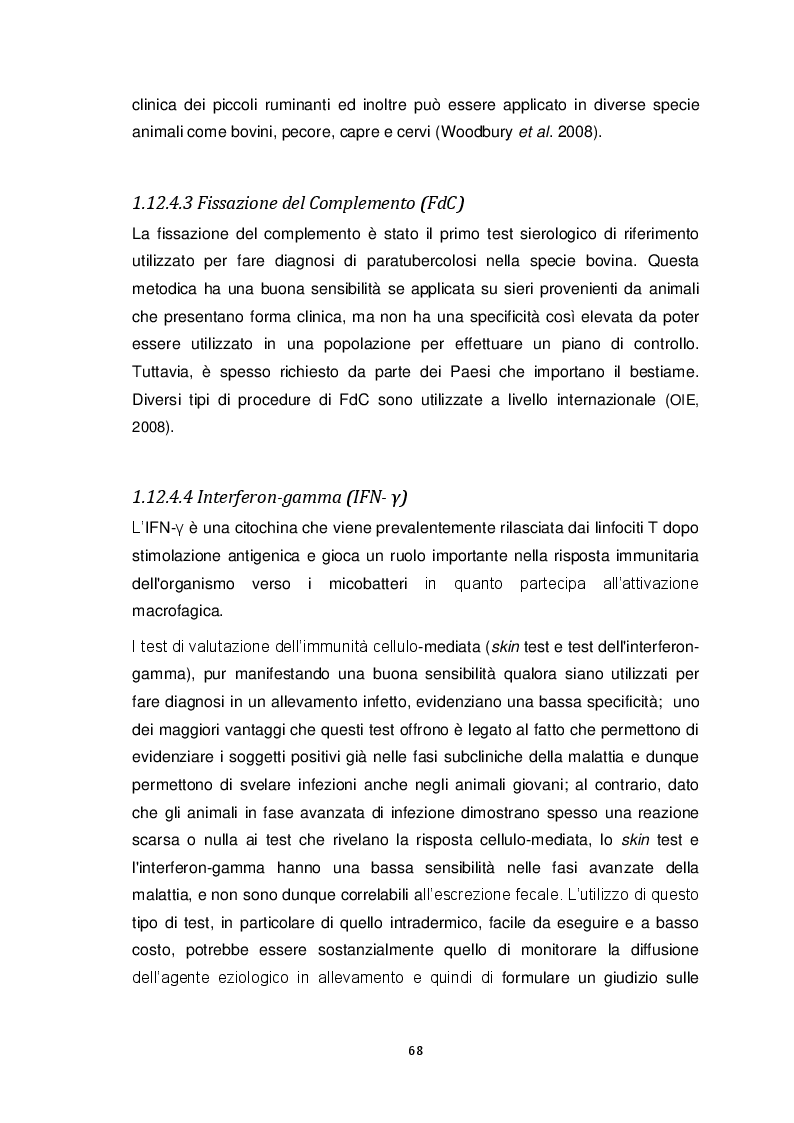 Anteprima della tesi: Ricerca di MAP nella fauna selvatica (Cervus elaphus). Isolamento e genotipizzazione da campioni di campo, Pagina 3