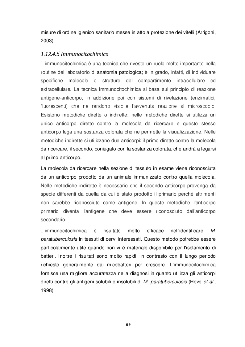 Anteprima della tesi: Ricerca di MAP nella fauna selvatica (Cervus elaphus). Isolamento e genotipizzazione da campioni di campo, Pagina 4