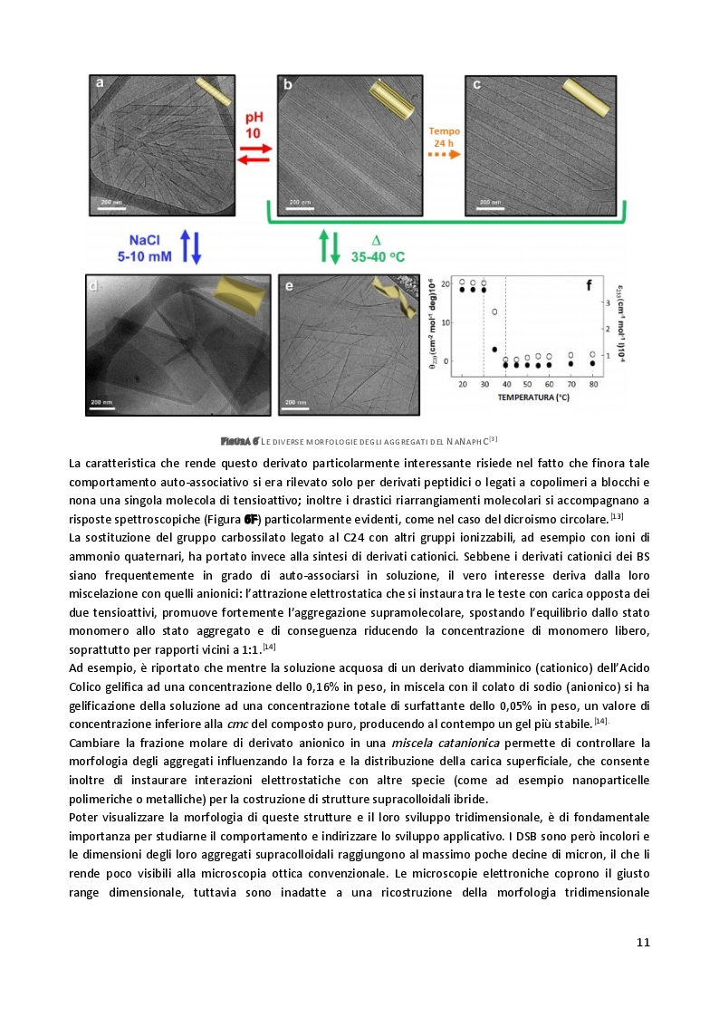 Estratto dalla tesi: Sintesi e caratterizzazione di anfifili steroidei per marcatura di complessi supramolecolari