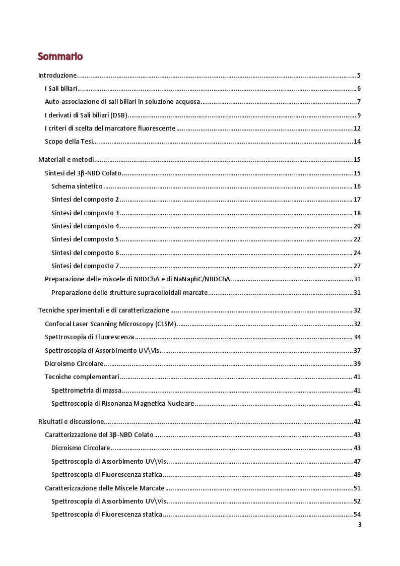 Indice della tesi: Sintesi e caratterizzazione di anfifili steroidei per marcatura di complessi supramolecolari, Pagina 1