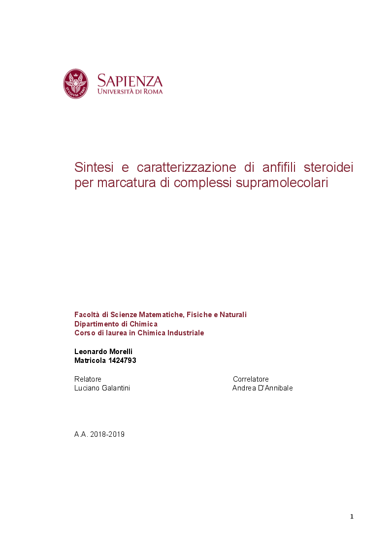 Anteprima della tesi: Sintesi e caratterizzazione di anfifili steroidei per marcatura di complessi supramolecolari, Pagina 1