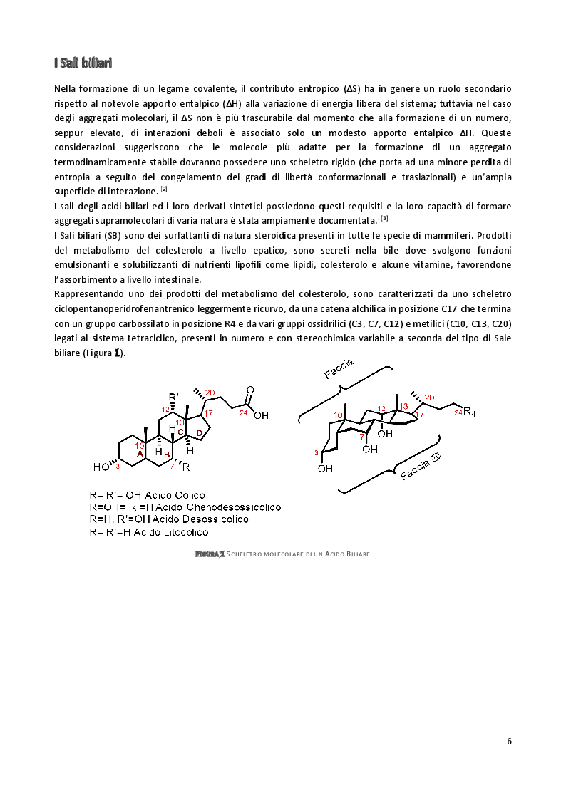 Anteprima della tesi: Sintesi e caratterizzazione di anfifili steroidei per marcatura di complessi supramolecolari, Pagina 3