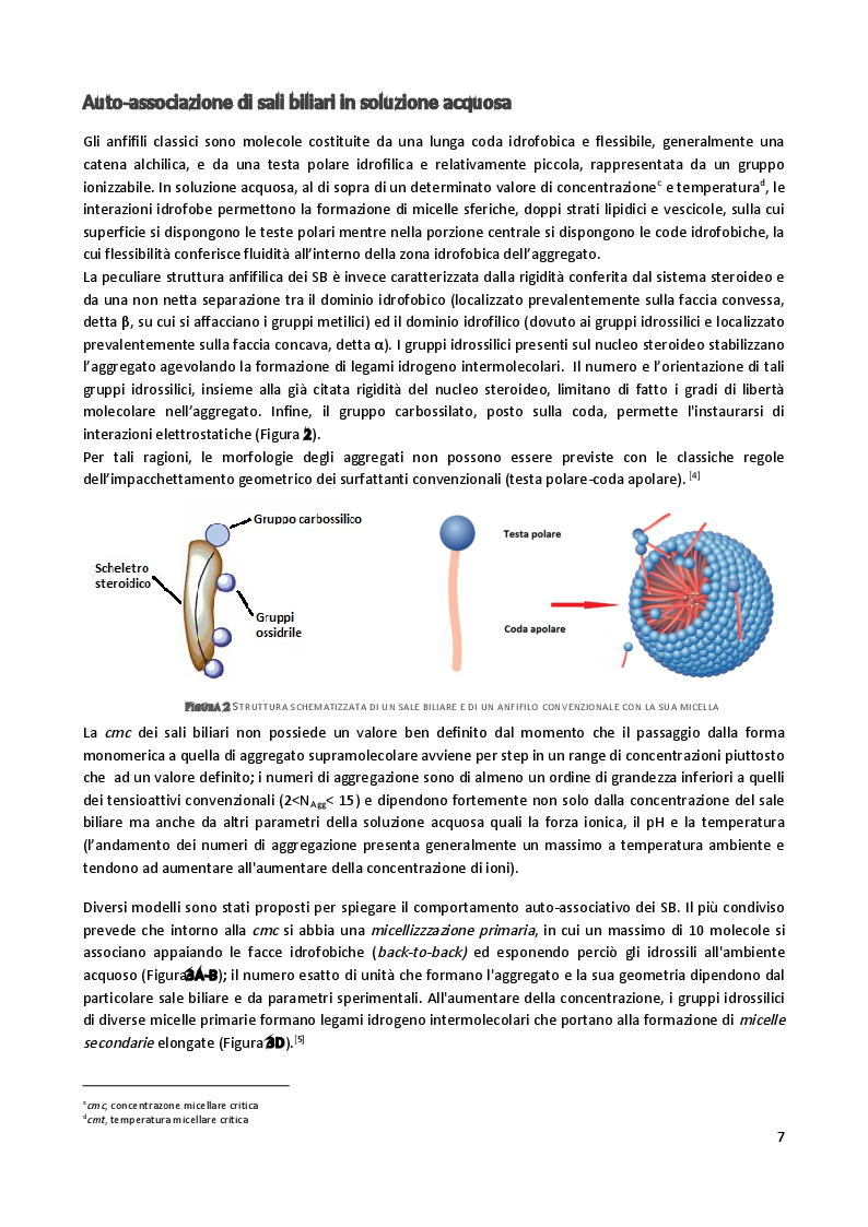 Anteprima della tesi: Sintesi e caratterizzazione di anfifili steroidei per marcatura di complessi supramolecolari, Pagina 4