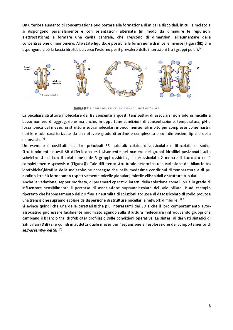 Anteprima della tesi: Sintesi e caratterizzazione di anfifili steroidei per marcatura di complessi supramolecolari, Pagina 5