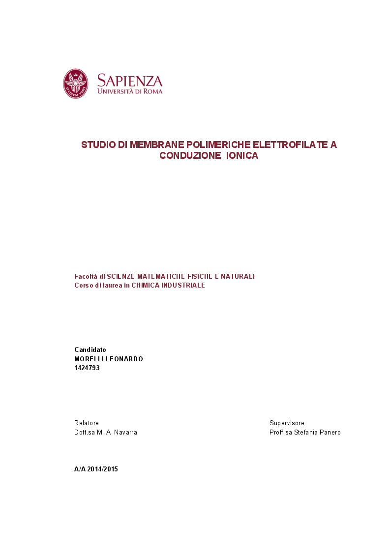 Anteprima della tesi: Studio di membrane polimeriche elettrofilate a conduzione ionica, Pagina 1