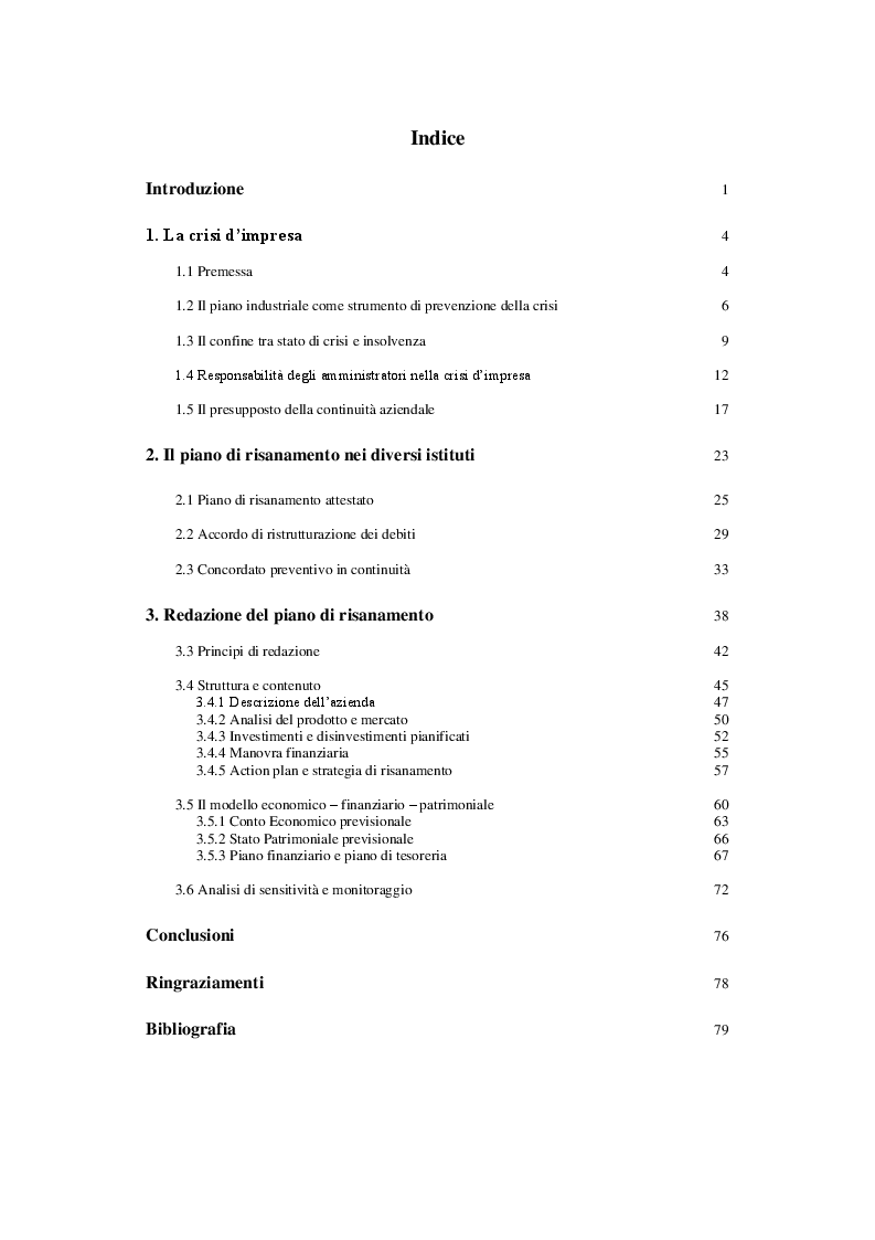 Indice della tesi: I principi di redazione dei piani di risanamento, Pagina 1