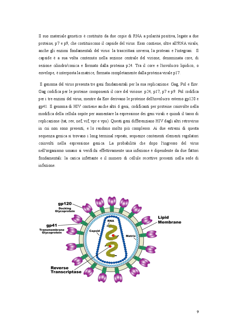 Anteprima della tesi: Profilassi pre-esposizione (PrEP): il ruolo dell’Infermiere nella prevenzione dell’infezione da HIV, Pagina 4