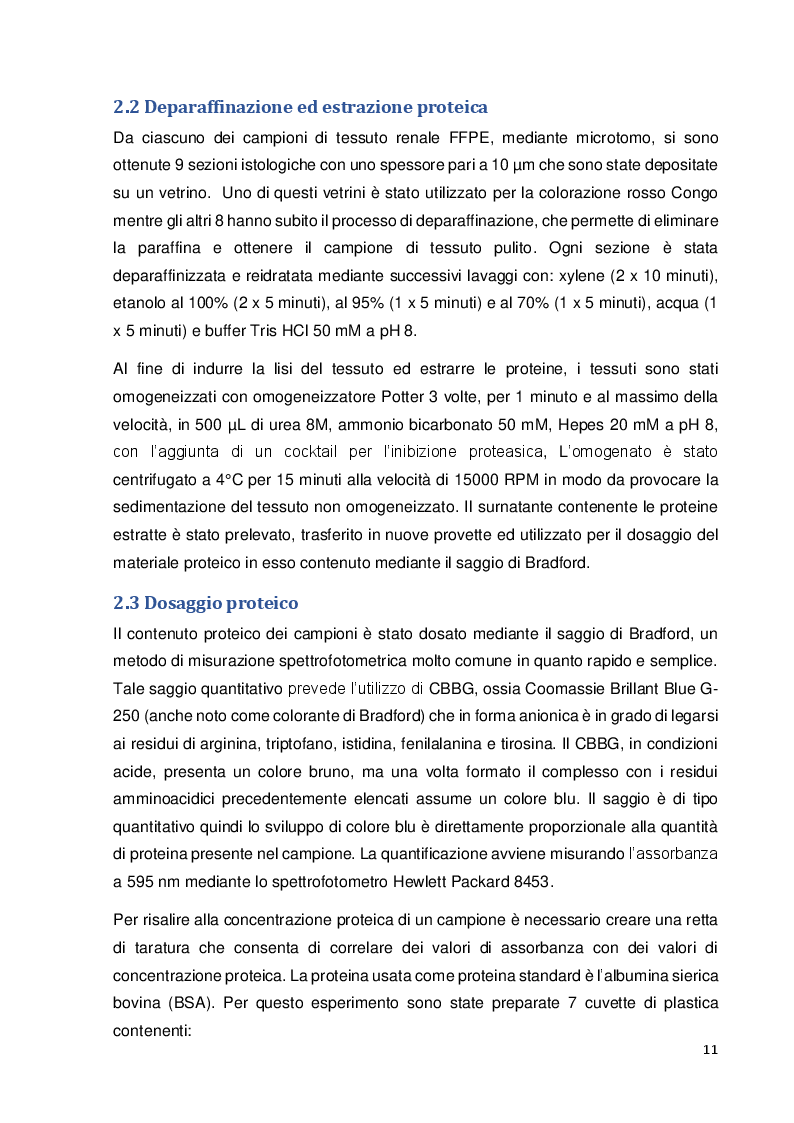 Estratto dalla tesi: Analisi proteomica del tessuto renale di gatti abissini affetti da amiloidosi