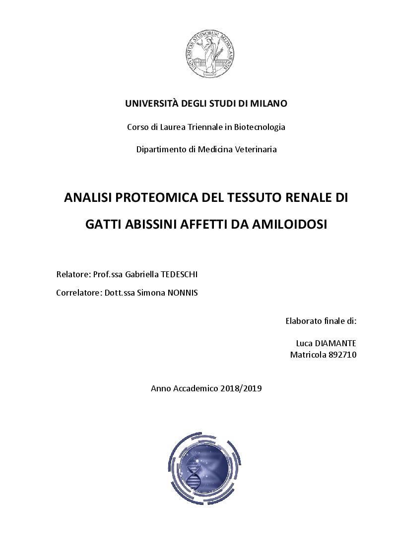 Anteprima della tesi: Analisi proteomica del tessuto renale di gatti abissini affetti da amiloidosi, Pagina 1