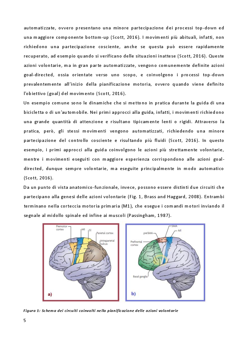 Anteprima della tesi: L'importanza delle emozioni nella genesi delle azioni: uno studio di risonanza magnetica funzionale, Pagina 3