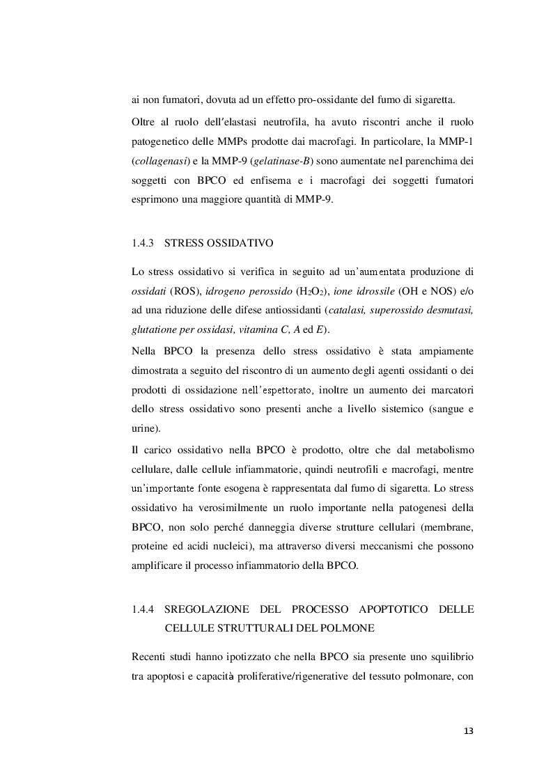 Estratto dalla tesi: Strategie riabilitative nel trattamento del paziente con BPCO