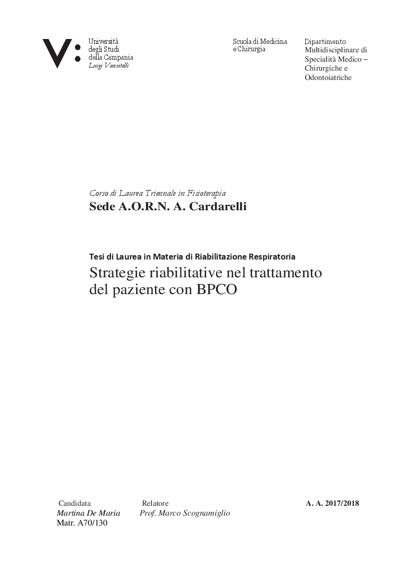 Anteprima della tesi: Strategie riabilitative nel trattamento del paziente con BPCO, Pagina 1