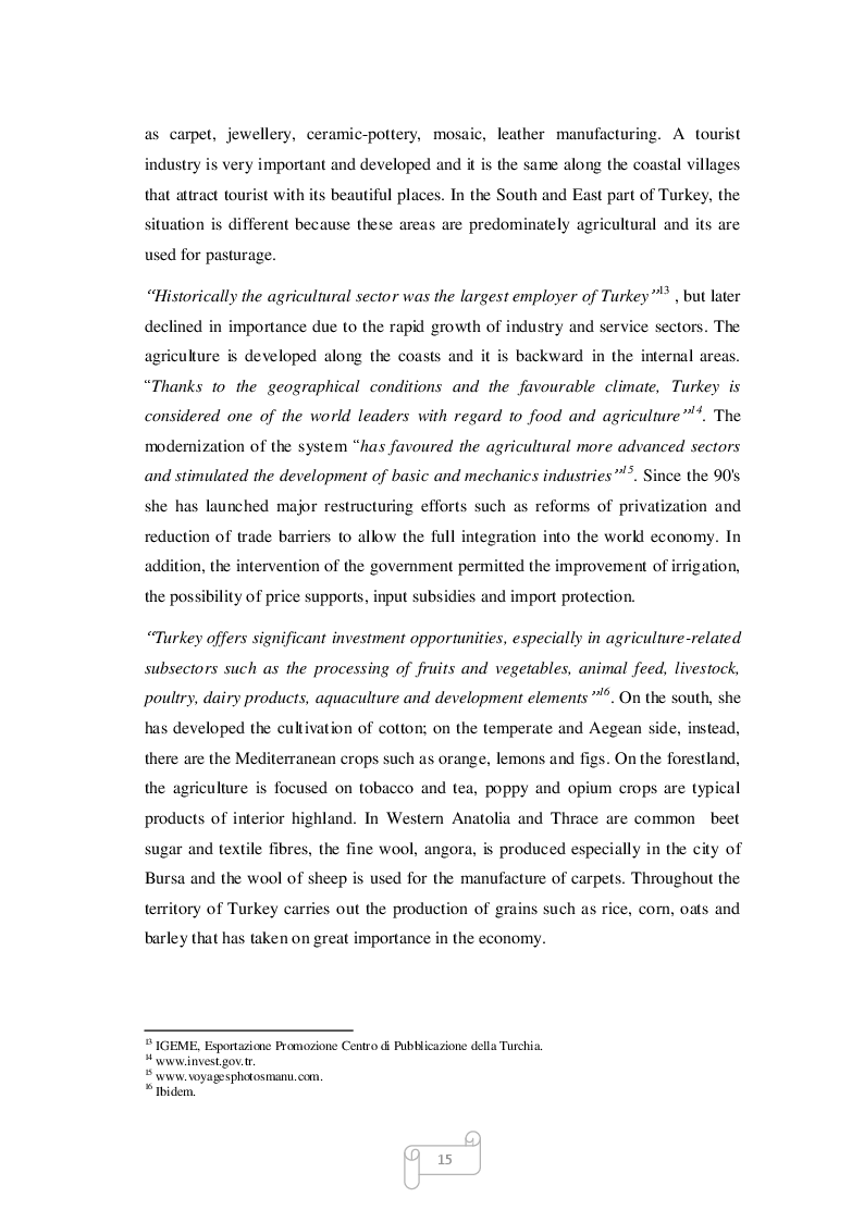Anteprima della tesi: Turkey, an economic country in becoming between heritage and future, Pagina 8