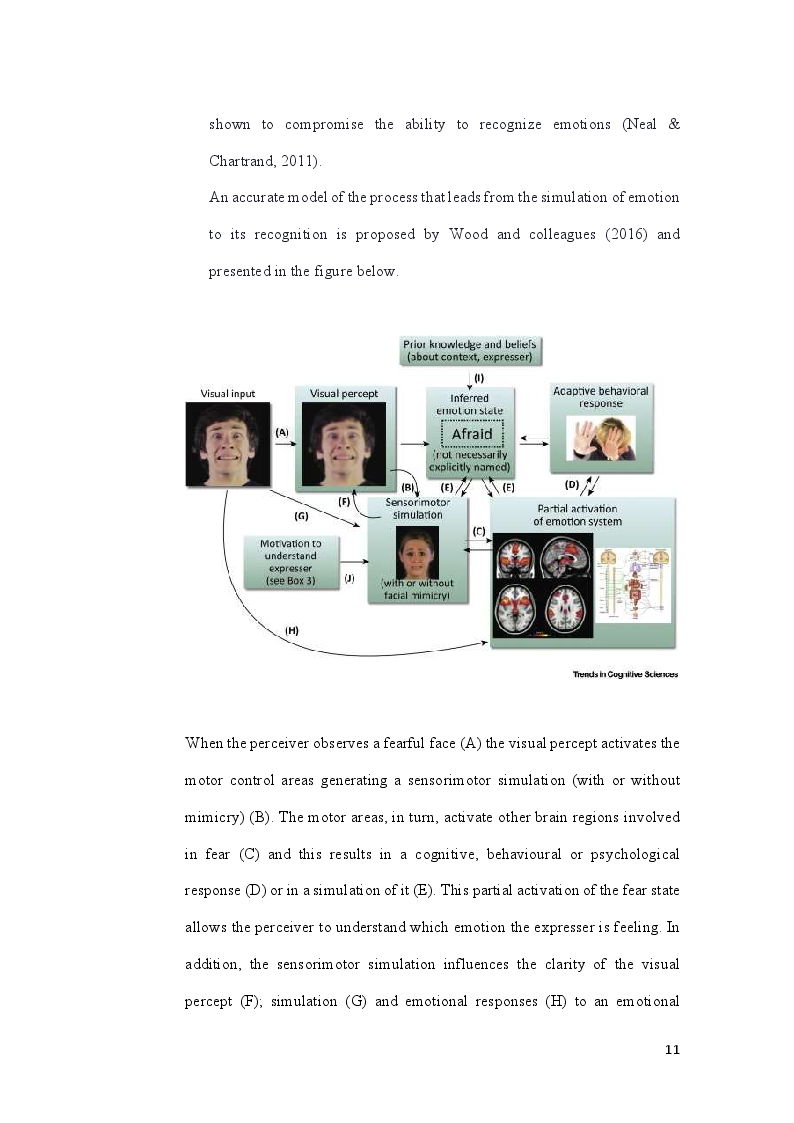 Anteprima della tesi: Influence of Psychological Closeness on Emotional Contagion: a focus on stress, Pagina 7