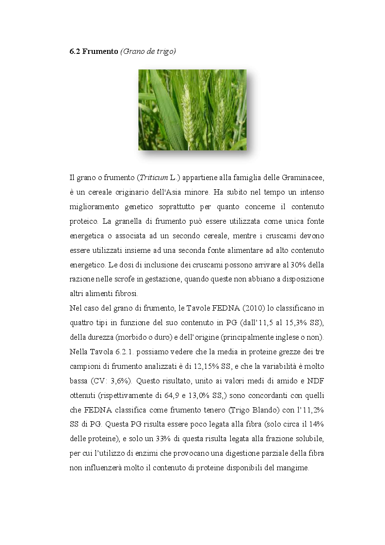 Anteprima della tesi: Valutazione della Frazione Fibrosa delle Materie Prime Utilizzate nell’ Alimentazione dei suini in riproduzione, Pagina 7