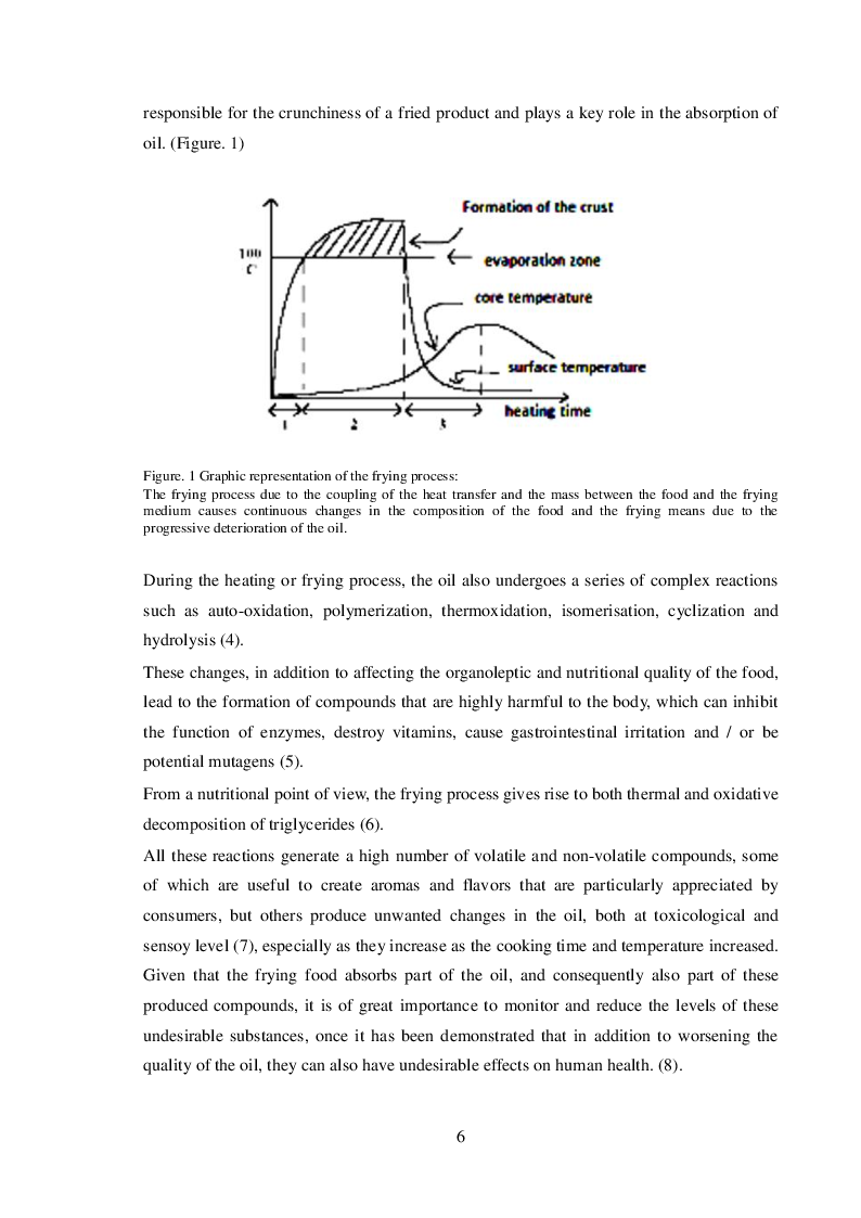 Anteprima della tesi: Use of absorbents to extend the shelf life of frying oil in food industry, Pagina 4